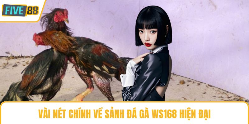 Vài nét chính về sảnh đá gà WS168 hiện đại